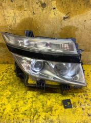 Фара передняя правая NISSAN ELGRAND