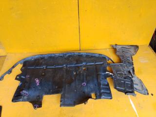 Защита двигателя NISSAN SKYLINE