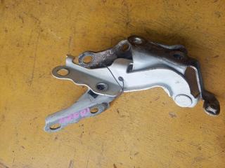 Запчасть петля капота TOYOTA ALLEX