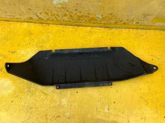 Защита двс железн. MITSUBISHI Delica