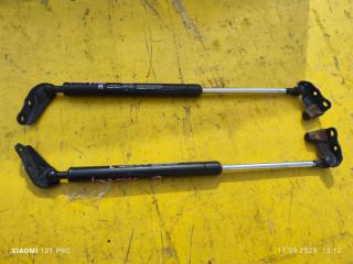 Фото запчасти амортизатор багажника TOYOTA IPSUM контрактная запчасть Запчасть амортизатор багажника TOYOTA IPSUM