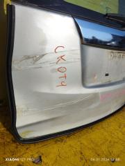 Дверь 5-я TREZIA NCP120