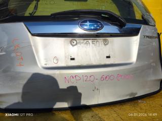 Дверь 5-я TREZIA NCP120