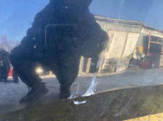 Капот Alphard ANH20