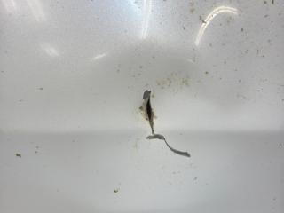 Крышка багажника Uni-K 2020-2024 1