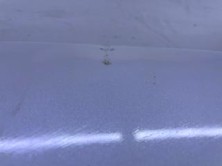 Капот CS35 Plus 2021-2025 T19