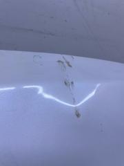 Капот CS35 Plus 2021-2025 T19