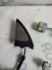 Проводка двери передняя левая Tugella 2022 FY11 2.0 Проводка двери передняя левая Tugella 2022 FY11 2.0