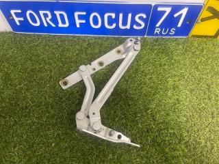 Петля крышки багажника задняя левая Ford Focus 2 2005/2006/2007/2008/2009/2010/2011
