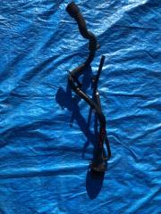 Фото запчасти горловина топливного бака Mazda RX-8 2004 контрактная запчасть Запчасть горловина топливного бака Mazda RX-8 2004