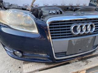 Nose cut A4 8E ALT Nose cut A4 8E ALT