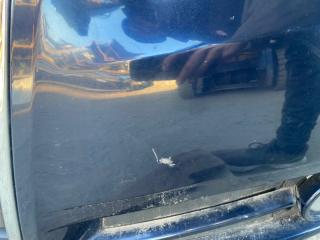 Nose cut A4 8E ALT Nose cut A4 8E ALT