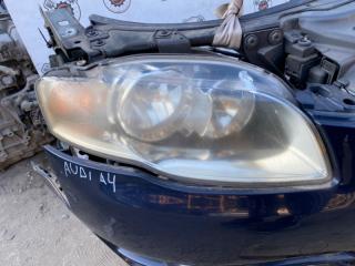 Nose cut A4 8E ALT Nose cut A4 8E ALT