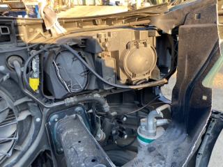 Nose cut A4 8E ALT Nose cut A4 8E ALT