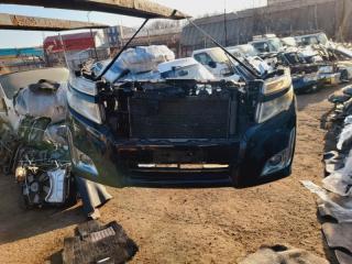 Nose cut NISSAN ELGRAND контрактная Nose cut NISSAN ELGRAND