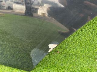 Дверь задняя левая COROLLA FIELDER ZRE142G