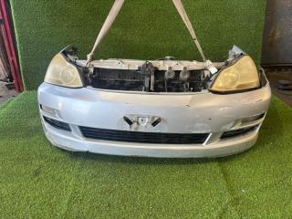 Nose cut TOYOTA IPSUM