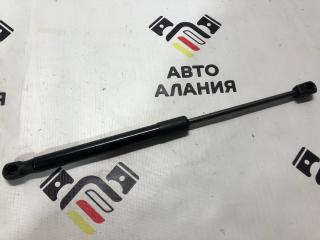 Амортизатор багажника задний BMW 3-Series 2013