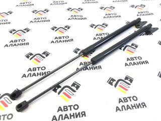 Амортизатор багажника BMW X1 2013