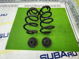 Пружины задние NISSAN Dualis 2008