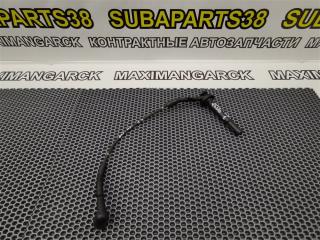 Бронепровода SUBARU LEGACY 2004 контрактная Бронепровода SUBARU LEGACY 2004