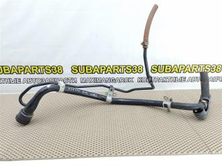 Горловина бензобака Toyota Voltz 2002