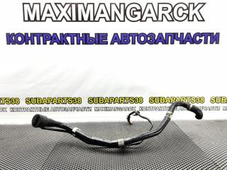 Горловина бензобака Toyota Voltz 2002