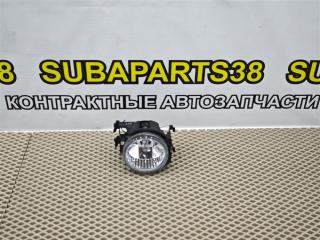 Фара противотуманная передняя правая SUBARU LEGACY 2008 контрактная Фара противотуманная передняя правая SUBARU LEGACY 2008