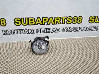 Фара противотуманная передняя левая SUBARU LEGACY 2008 контрактная Фара противотуманная передняя левая SUBARU LEGACY 2008
