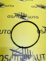 Запчасть кольцо уплотнительное вакумного насоса Peugeot 308