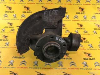 Цапфа задняя левая 607 2003