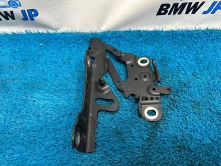 Петля капота правая 3 2013 F30 N55B30A Петля капота правая 3 2013 F30 N55B30A