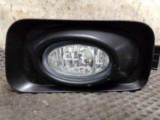 ТУМАНКА ЛЕВАЯ передняя левая Honda Accord 2005 контрактная ТУМАНКА ЛЕВАЯ передняя левая Honda Accord 2005