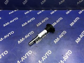 Катушка зажигания VOLKSWAGEN TIGUAN 2009