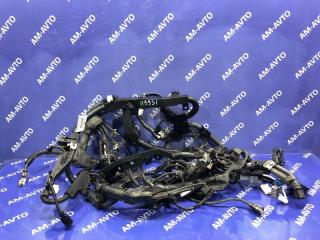 Коса двигателя TOYOTA RAV4 2019 контрактная Коса двигателя TOYOTA RAV4 2019