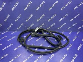 Уплотнение дверей заднее левое TOYOTA RAV4 2019 контрактная Уплотнение дверей заднее левое TOYOTA RAV4 2019