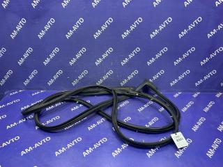 Уплотнение дверей переднее правое NISSAN MURANO 2008