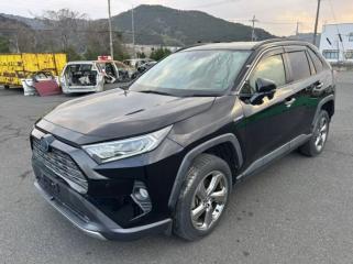 Жабо TOYOTA RAV4 2019