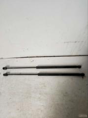 Амортизатор багажника Land Rover Range Rover Sport 1