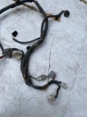 Проводка фар Lexus LS460 Проводка фар Lexus LS460
