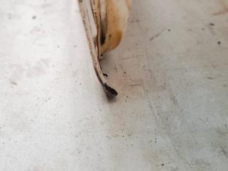 Дверь задняя левая Transporter T6 2.0 TDi