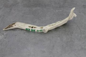 Запчасть крепеж зп бампера Mazda 3 2006
