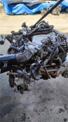 Двигатель NISSAN ELGRAND ALWE50 VG33 094031 5 ракурс