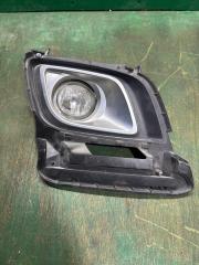 Туманка правая передняя MAZDA MPV LY3P 11461009 1 ракурс