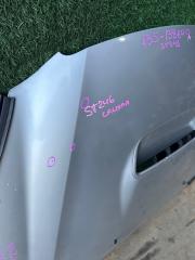 Капот TOYOTA CALDINA ST246 3 ракурс