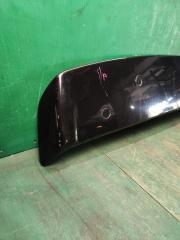 Спойлер NISSAN ELGRAND PNE52 960301A57X 2 ракурс