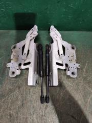 Петля капота BMW 1-SERIES F20 B47D20A 7336700 2 ракурс Петля капота BMW 1-SERIES F20 B47D20A 7336700 2 ракурс