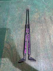 Амортизатор двери TOYOTA COROLLA SPACIO NZE121 1NZ 689500W080 1 ракурс