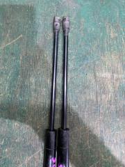 Амортизатор двери TOYOTA COROLLA SPACIO NZE121 1NZ 689500W080 4 ракурс
