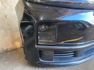 Ноускат L7 2023-2024 1